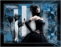 /album/fotogaleria/elegance-jpg/